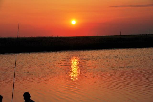 Doar ... NATURA - 4 - cnpc20-20ii20148resize1.jpg